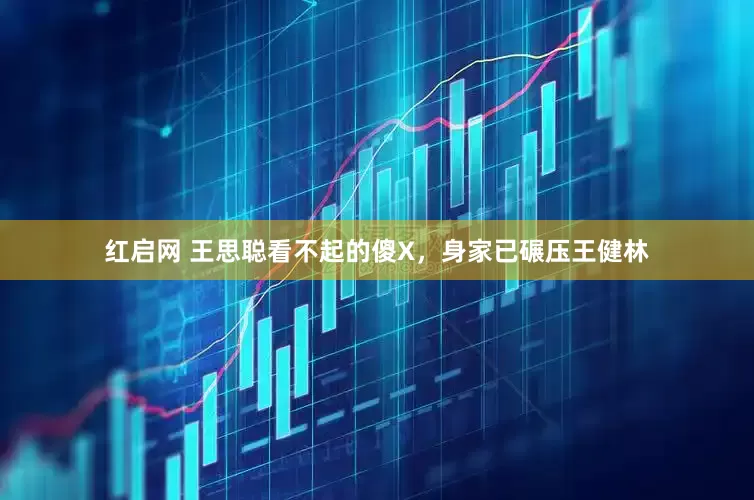 红启网 王思聪看不起的傻X，身家已碾压王健林